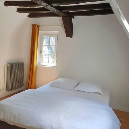 Et Calme Vieux Historique Apartment Tours